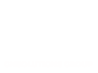 Global Network Solutions Group 